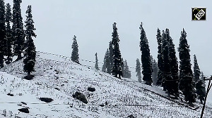 Fresh Snowfall Transforms Gulmarg, Sonamarg into Winter Paradise
