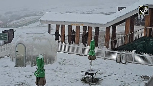 Kashmir Turns Into Winter Paradise With Fresh Snowfall
