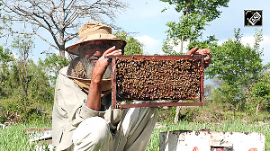 J-K: Apiculture farming receives spectacular boom in Udhampur