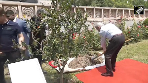 EAM Jaishankar plants pomegranate sapling at Indian Embassy in Beijing