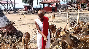 Meet Anuradha Rao, The 'Deer Lady' of Andamans who speaks to animals of Ross Island