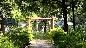 From Wetlands to Wildlife: Gujarat's Model for Biodiversity Protection