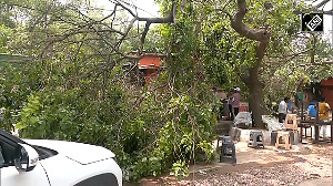 Delhi: 2 men, street dog die of electrocution in RK Puram