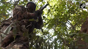 J-K: Security forces launch search operation after suspected movement of terror activity