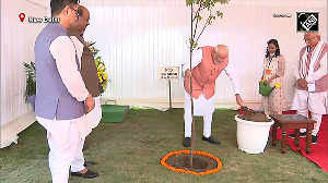 PM plants Sindoor sapling, inaugurates 184 newly constructed Type-7 Multi-Storey Flats for MPs