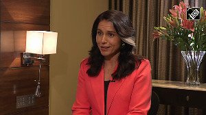 Turn to Lord Krishna's teachings in Gita in best and worst of times: Tulsi Gabbard