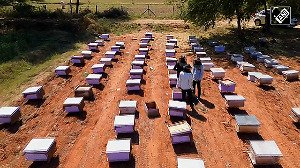 Mission Madhumakhi: Empowering Farmers, Transforming Beekeeping in Gujarat