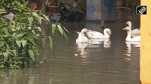 Severe waterlogging disrupts life in Guwahati as heavy rains lash Assam