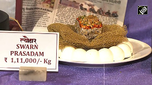 This Diwali Sweet Costs Rs 1 11 Lakh A Kilo