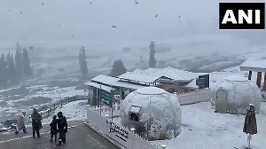 Fresh Snow Turns Gulmarg Into a Winter Wonderland