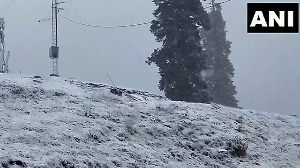 Fresh Snow Turns Gulmarg Into a Winter Wonderland