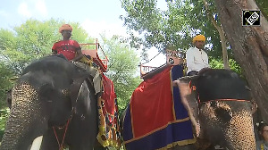 Jaipur's Hathi Gaon celebrates World Elephant Day