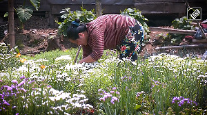 Manipur youth leads the way in organic farming 