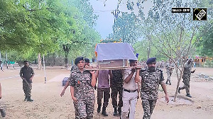 CRPF bids emotional farewell to K9 Rolo, martyred after 200 bee stings