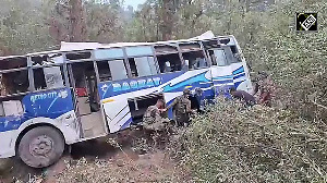 2 killed, dozens injured as bus falls into gorge in J-K's Poonch