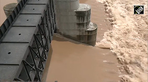 All gates of Sant Sarovar Dam opened in Gandhinagar amid heavy rainfall
