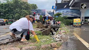 Gurugram: Foreign nationals organise cleanliness drive
