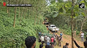 Man-eater tigers spotted in Malappuram