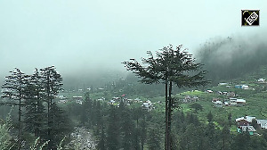 Nature at Its Finest: Breathtaking Views of Bhaderwah-Doda