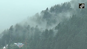 Nature at Its Finest: Breathtaking Views of Bhaderwah-Doda