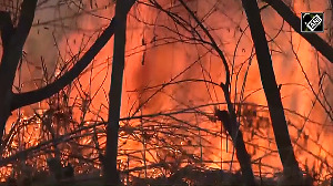 Massive fire breaks out at Baba Demb in Srinagar