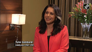 Tulsi Gabbard reveals her favorite Indian delicacy, watch!