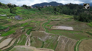 Nepal Celebrates 'Paddy Day' with Mud, Music and Tradition