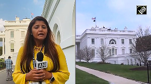 Tariff Tsunami: All the latest from the White House