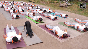 NDRF-trained stray dog steals spotlight at Udhampur yoga session