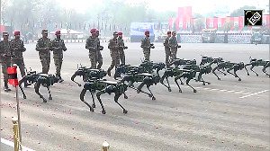 Watch: Indian Army's robotic mules ready for Army Day Parade