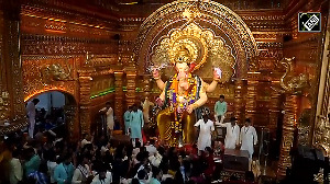 Devotees in large numbers offer prayers at Lalbaugcha Raja
