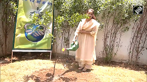 Kangana plants a tree on World Environment Day