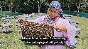Anantnag Girl Turns Beekeeping into Livelihood with Govt Support
