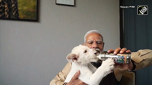 Watch: Modi feeds lion cub, catches snake at Vantara animal shelter