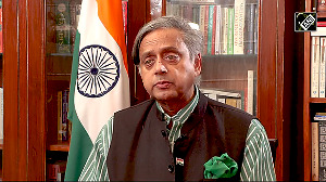 Shashi Tharoor fires back at Navarro's India rants: 'No need for that language'