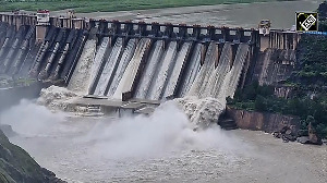 Multiple Gates of Salal Dam opened after heavy rainfall in region