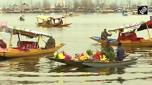 Experience the Magic of the Shikara Festival in Srinagar