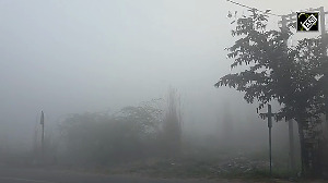 Haryana: Dense fog disrupts Jhajjar city