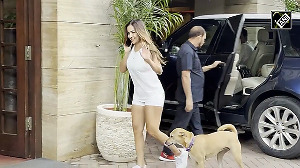 Malaika Arora was seen showering love on a street dog, her no-makeup look won hearts