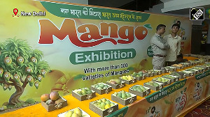 Nitin Gadkari attends 18th Mango Festival at Talkatora Stadium