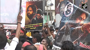 Fans celebrate release of Pawan Kalyan movieHari Hara Veera Mallu in Vijayawada