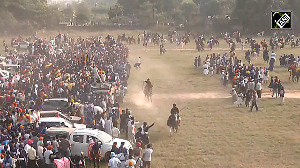 Watch: Nihang Sikhs display horse riding stunts and perform gatka