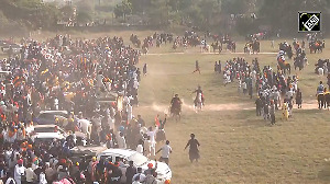 Watch: Nihang Sikhs display horse riding stunts and perform gatka