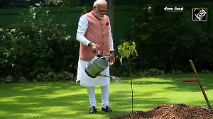PM Modi plants Sindoor sapling at his residence on World Environment Day