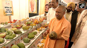 CM Yogi visits Mango Festival in Lucknow