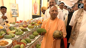 CM Yogi visits Mango Festival in Lucknow
