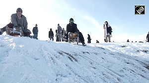 Sledge ride adventures boost winter tourism and local economy in Gulmarg