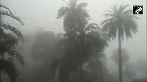 Unseasonal fog covers Rajasthan's Mount Abu in May