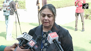 Animal rights activist upset on Supreme courts order on removal of stray animals from Public Places