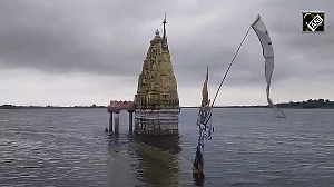 Devotees climb to top of temple for aarti after Sangameshwar Temple submerges in Banswara